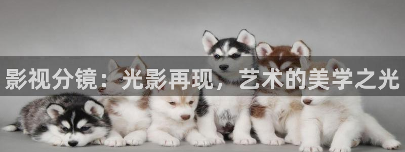木瓜影片：影视分镜：光影再现，艺术的美学之光