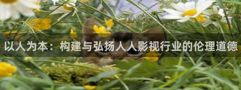木瓜影视app：以人为本：构建与弘扬人人影视行业的伦理道德