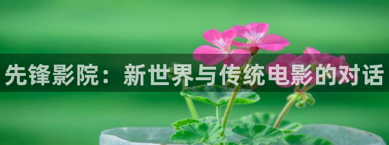 木瓜电影播放器：先锋影院：新世界与传统电影的对话