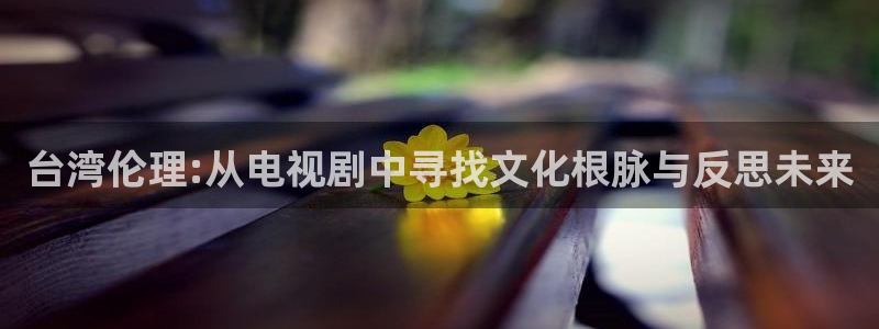 木瓜影视app下载：台湾伦理:从电视剧中寻找文化根脉与反思未来