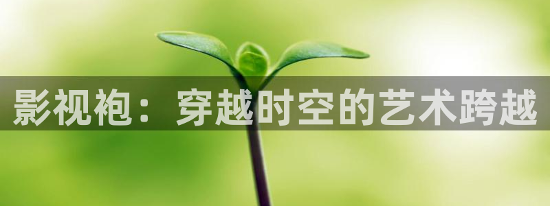 木瓜影院妈妈的朋友：影视袍：穿越时空的艺术跨越