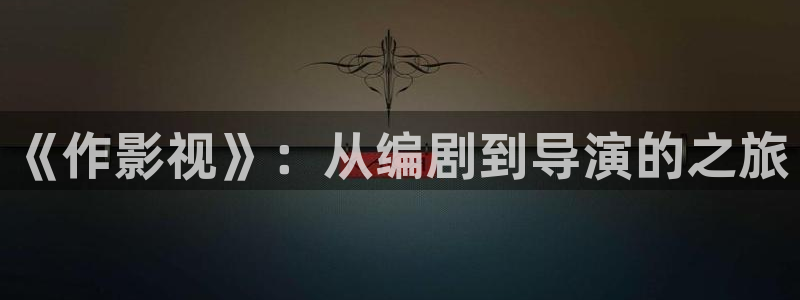 木瓜伦理影院：《作影视》：从编剧到导演的之旅