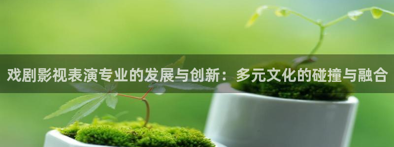 木瓜价格：戏剧影视表演专业的发展与创新：多元文化的碰撞与融合