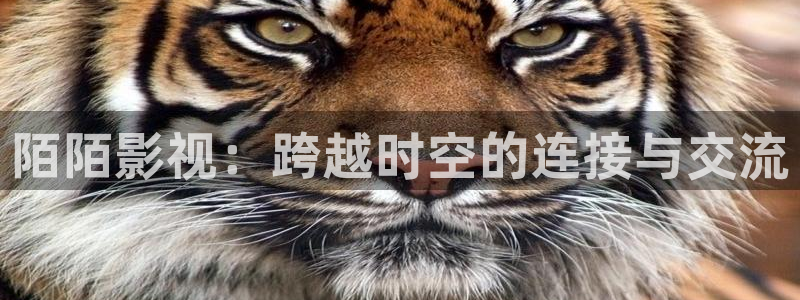 木瓜影院大全：陌陌影视：跨越时空的连接与交流