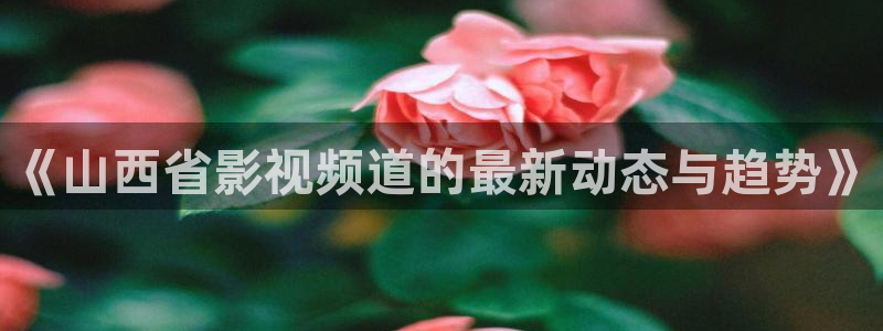 木瓜影视免费观看：《山西省影视频道的最新动态与趋势》
