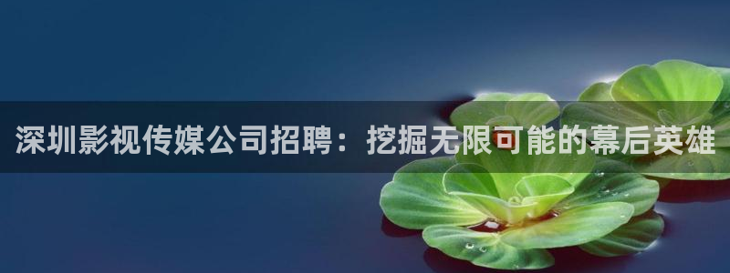 木瓜影视app：深圳影视传媒公司招聘：挖掘无限可能的幕后英雄