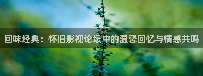 木瓜三级影院：回味经典：怀旧影视论坛中的温馨回忆与情感共鸣